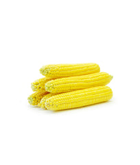 Maize