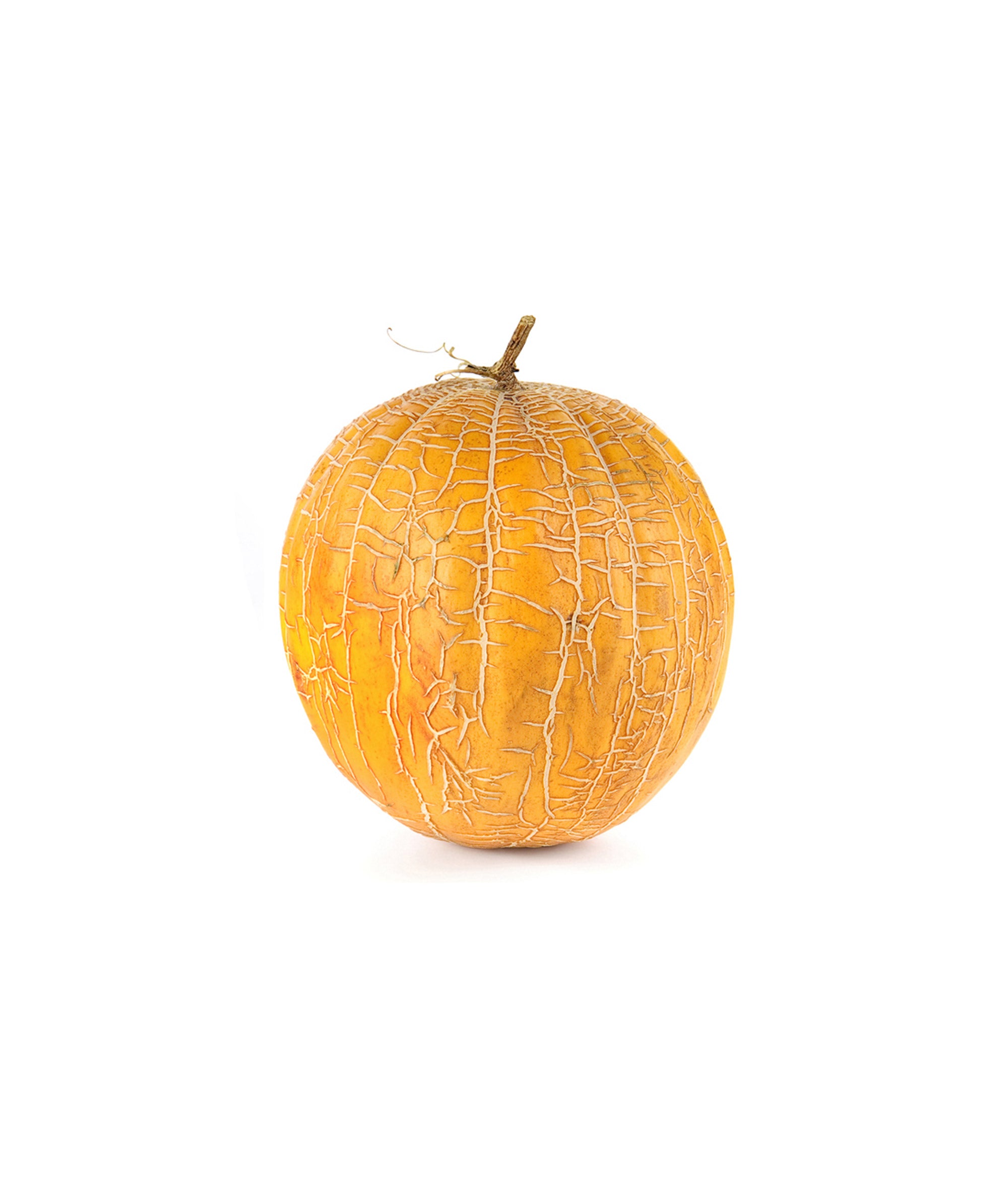 Muskmelon